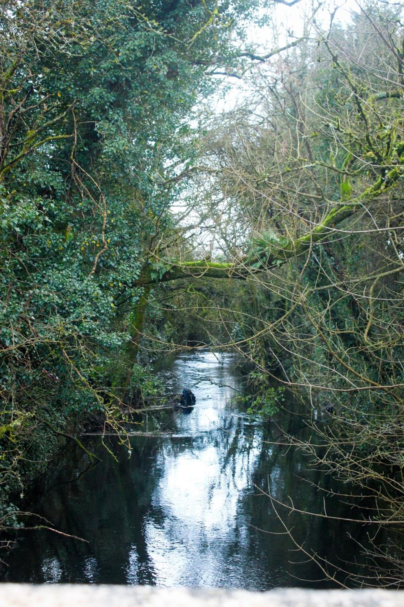 Riverside Cottage In The Burren Corofin  Екстериор снимка